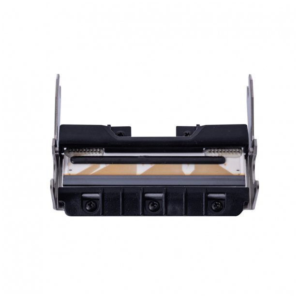 Pa-Hu2-002 Print Head