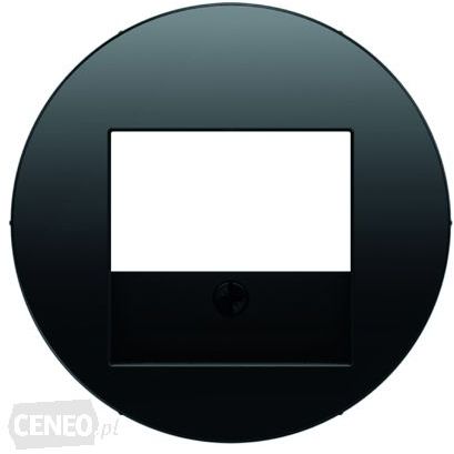 Berker R.1/R.3 Element centralny do gniazda TAE i głośnikowego czarny (10382045)