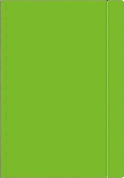 Interdruk TECZKA KARTONOWA Z GUMKĄ A4+, ZIELONY