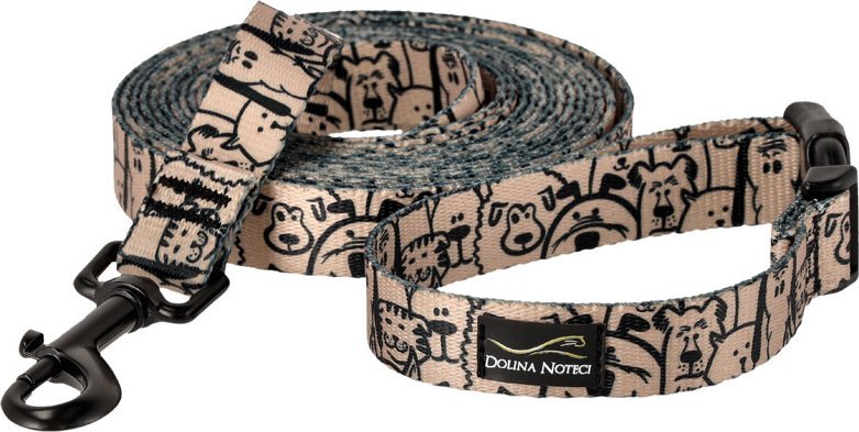 Dolina Noteci Smycz spacerowa z pasem biodrowym 20 mm - 4 m