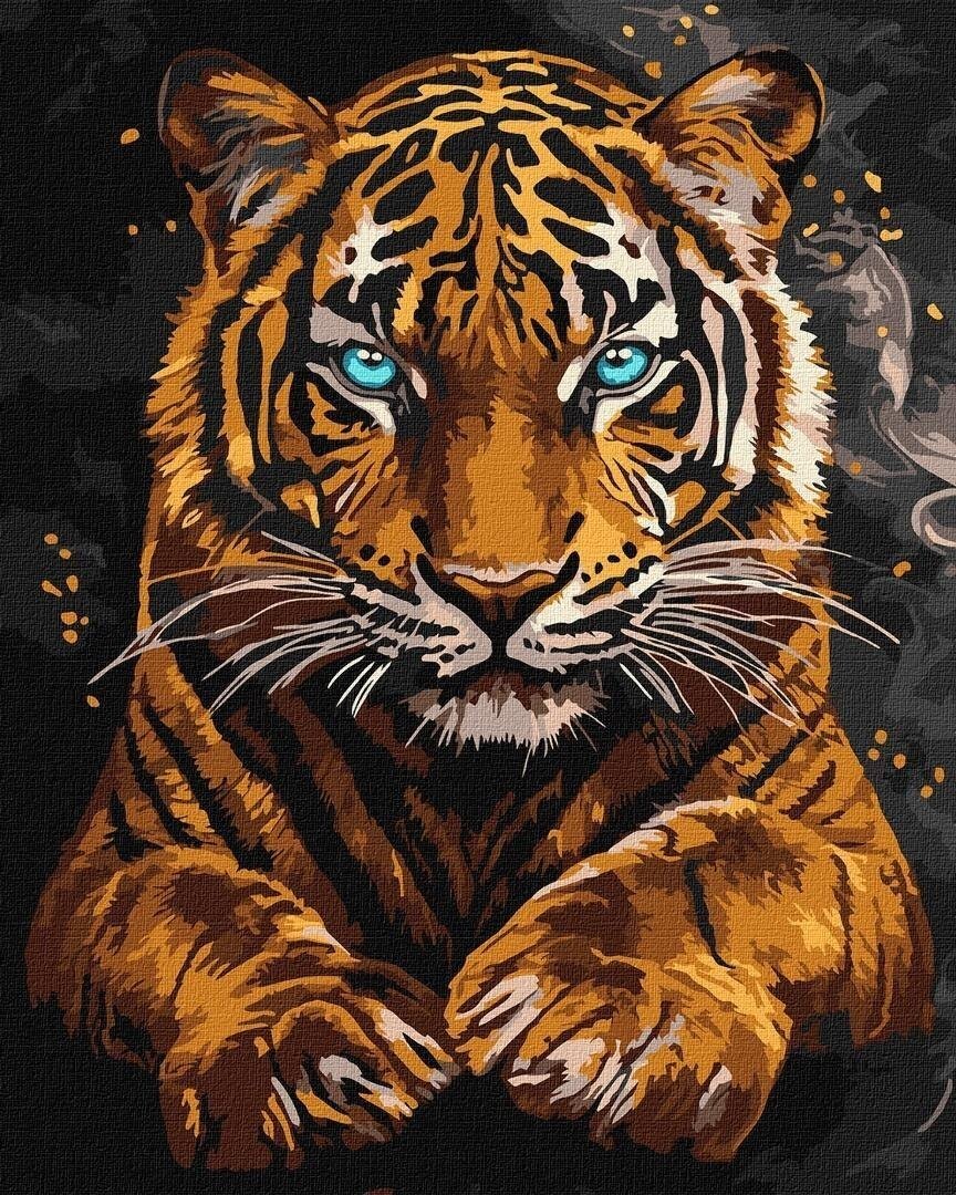 Malowanie po numerach - Dziki tygrys 40x50cm