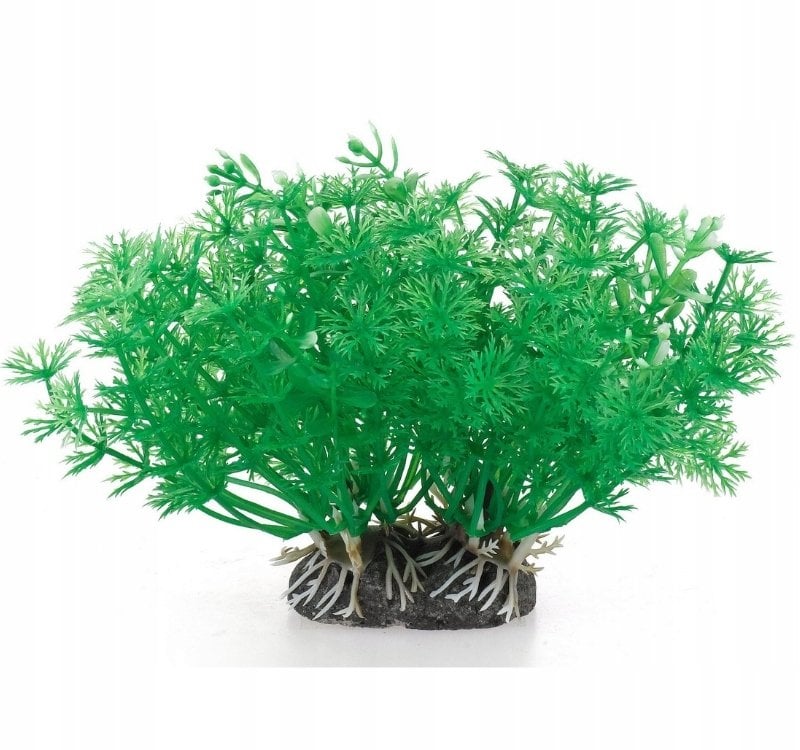 Terra Natura Aqua Natura, roślina, do dekoracji akwarium, zielona, plastikowa, 10 cm, pędy kopru, szerokie