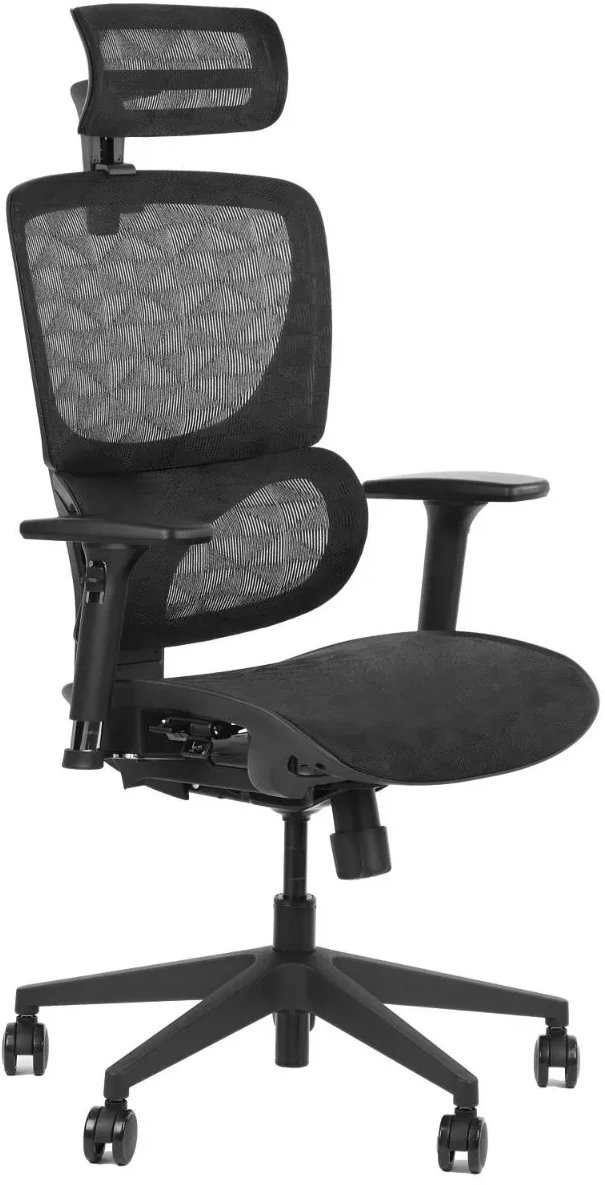 Fotel biurowy ERGONEW S1 czarny siatka STEMA