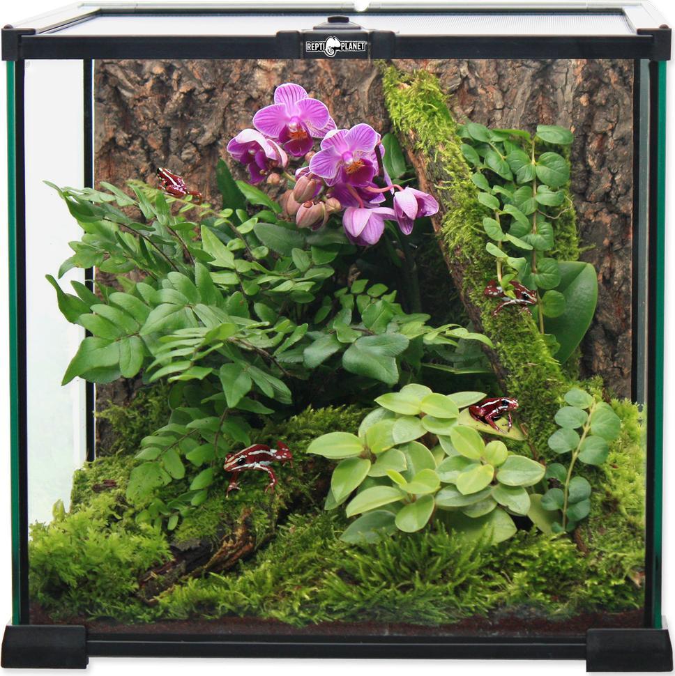 REPTI PLANET REPTI PLANET terrarium szklane 20x20x20cm