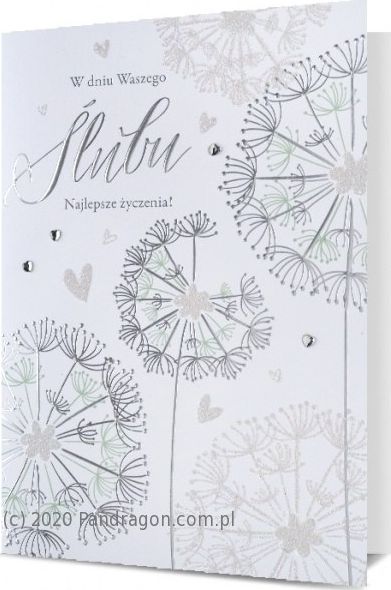 Pan Dragon Kartki karnet B6 HM 200-2081 Ślub Pan Dragon