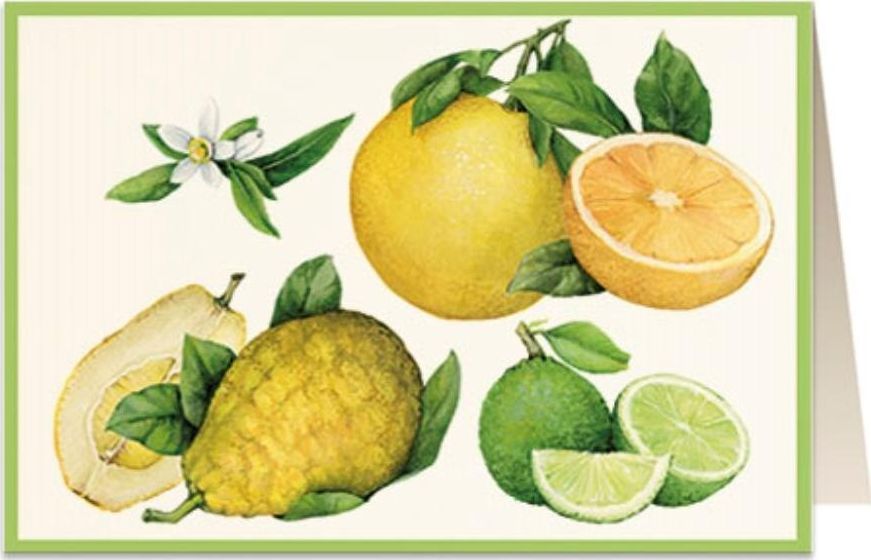 Tassotti Karnet B6 + koperta 5851 Cytrusy