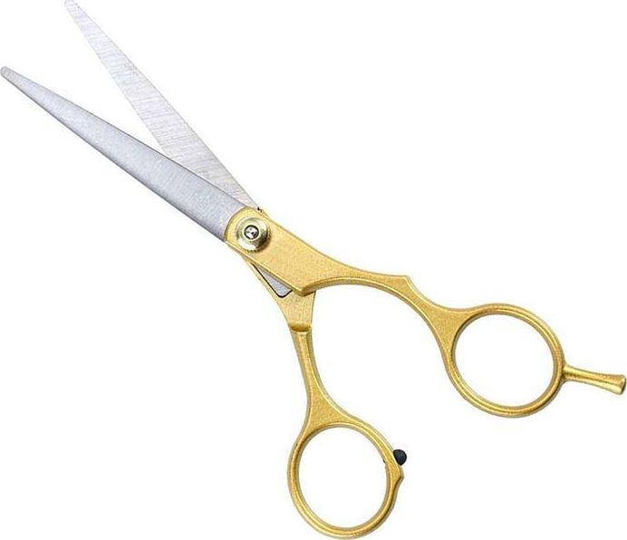 Aptel Hair Scissors Golden (Ag76b)