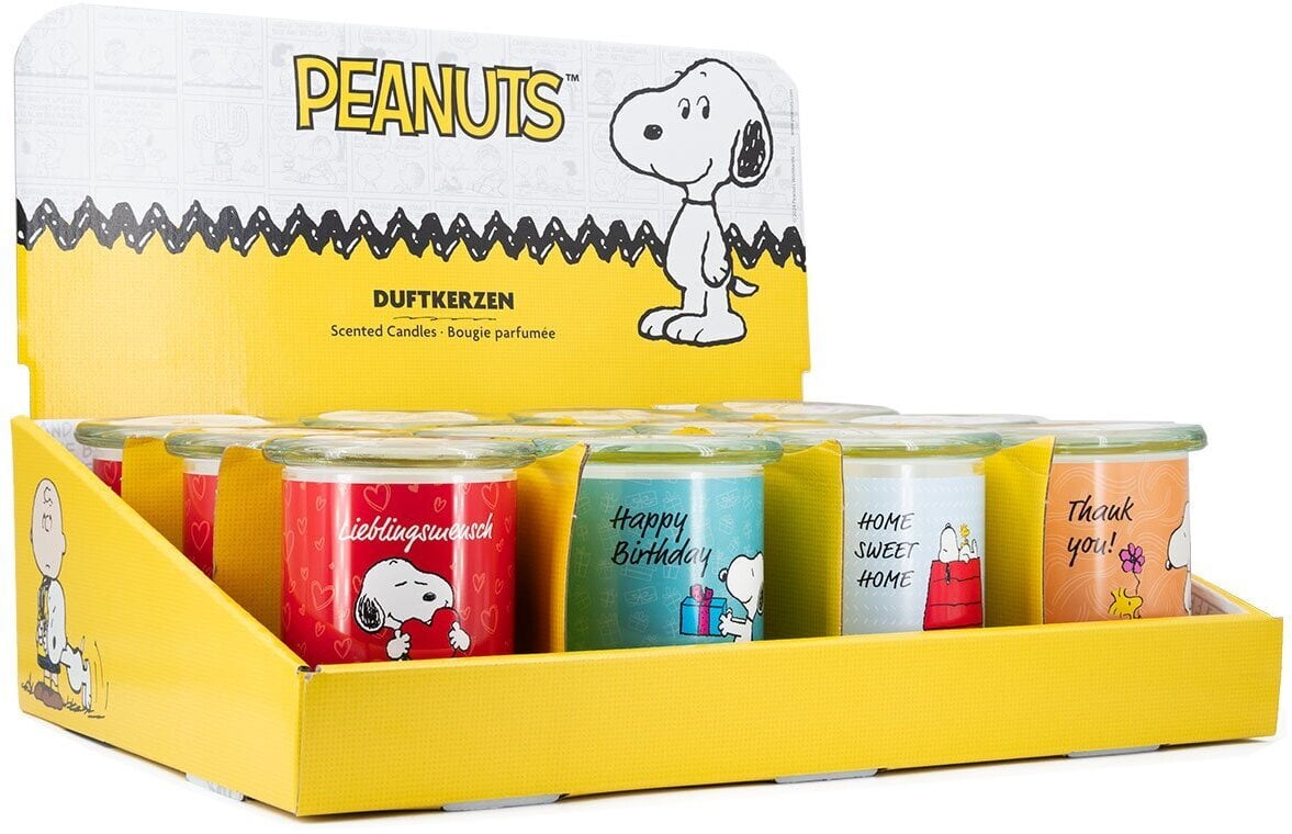 Peanuts Thekendisplay 12 x 250g