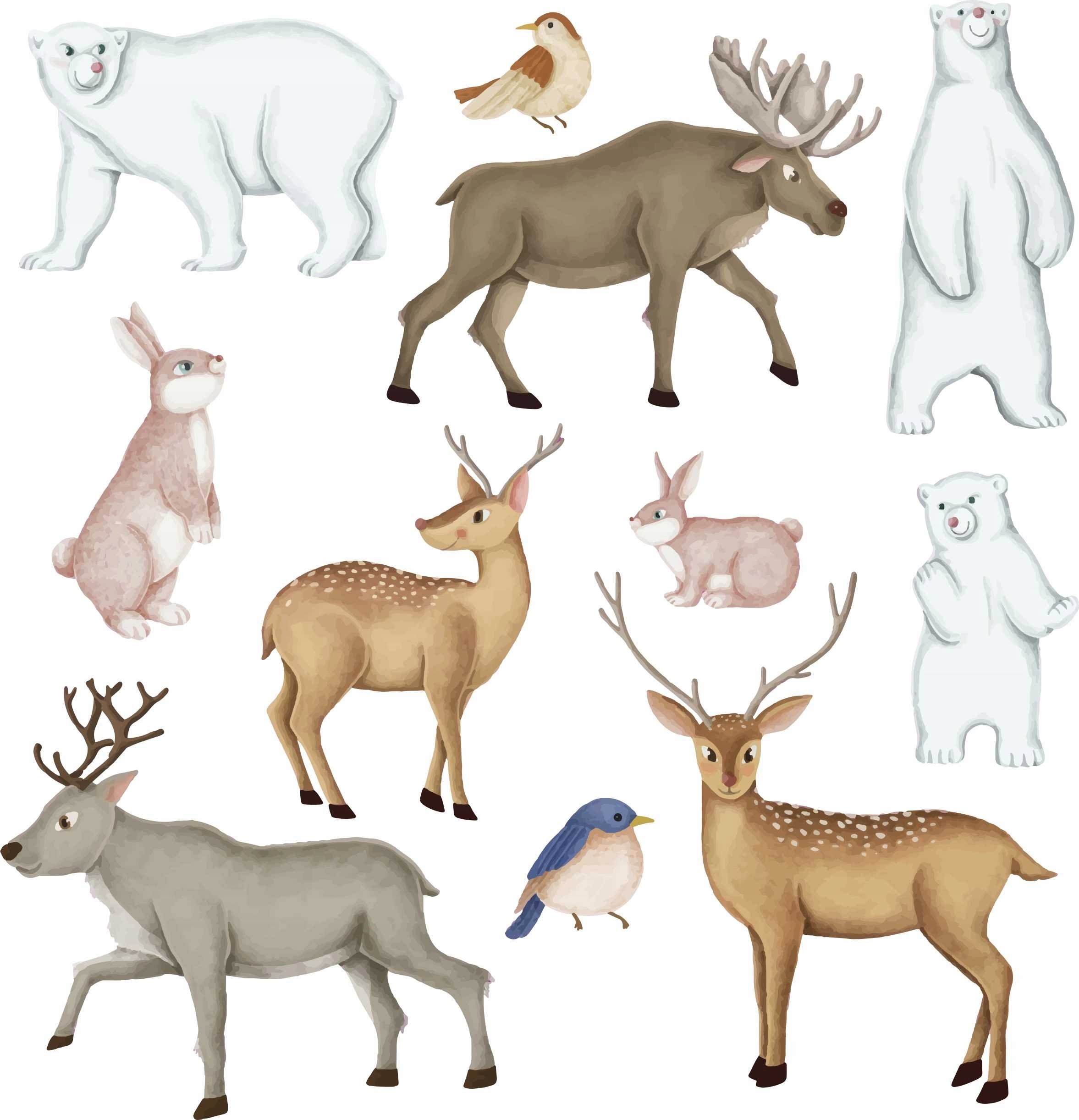 naSciane Naklejki na ścianę jeleń królik MIŚ pastelowe XXL