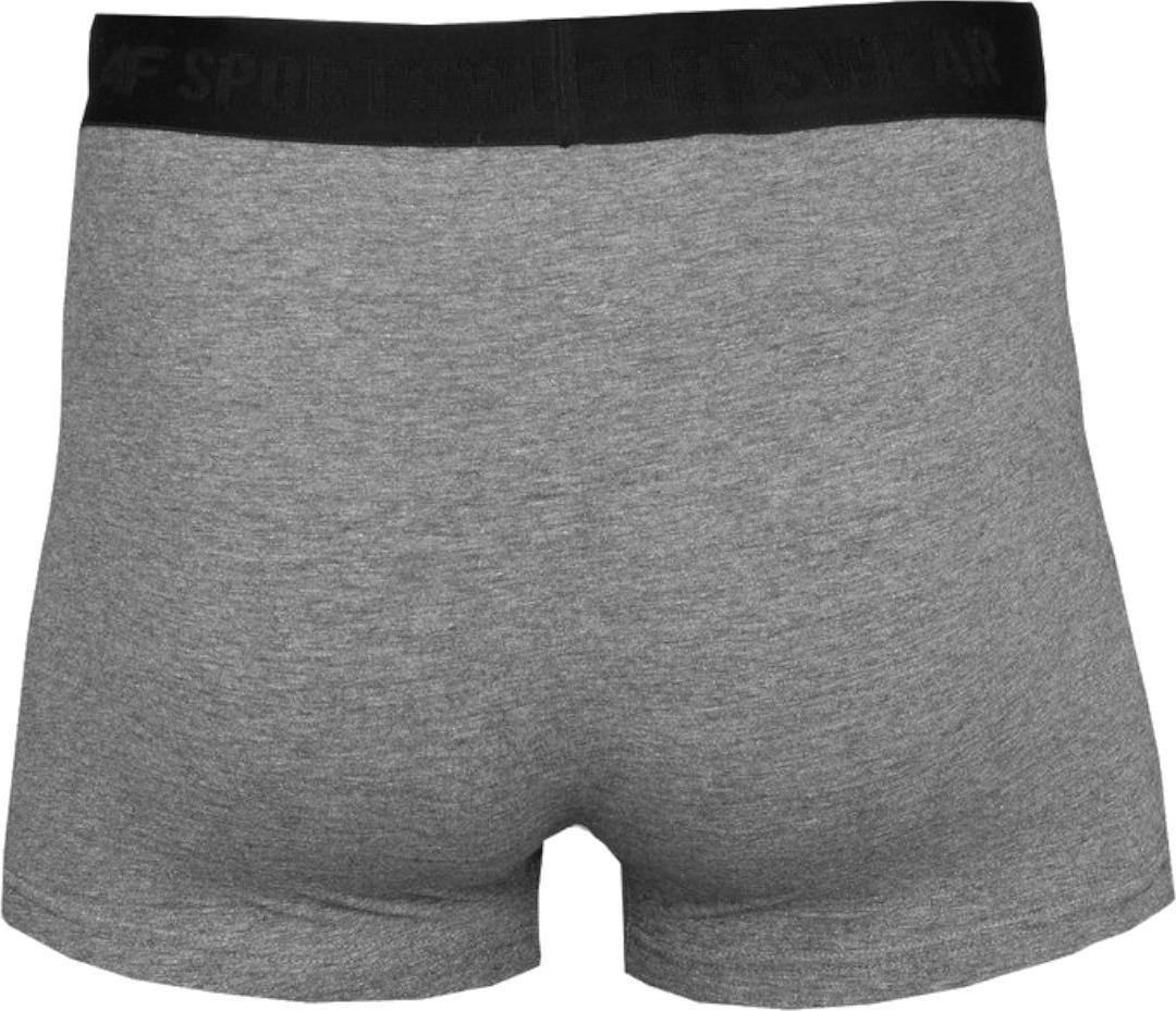 4f 4F Men's Briefs H4L22-BIM350-90M szary S