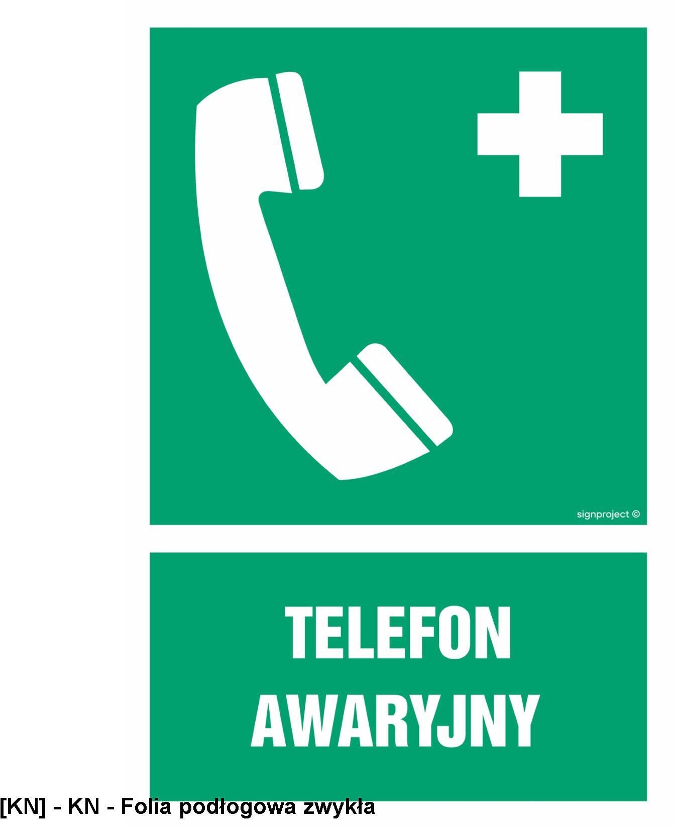TD Systems Telefon alarmowy 700x1050