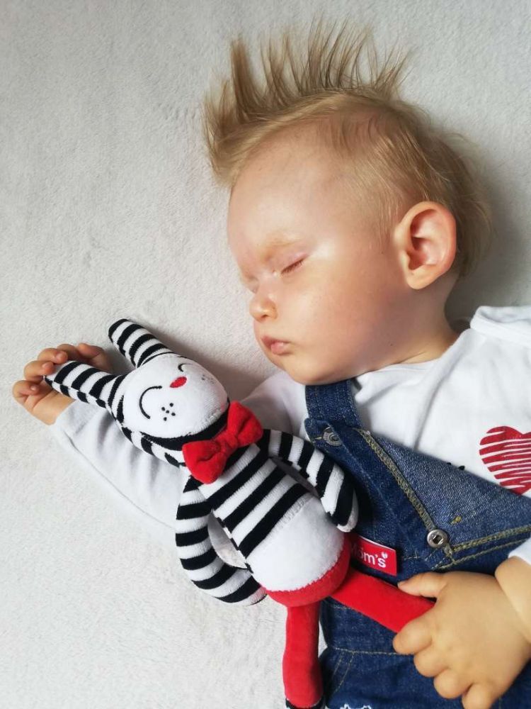 MomsCare Przytulanka kontrastowa Hycuś