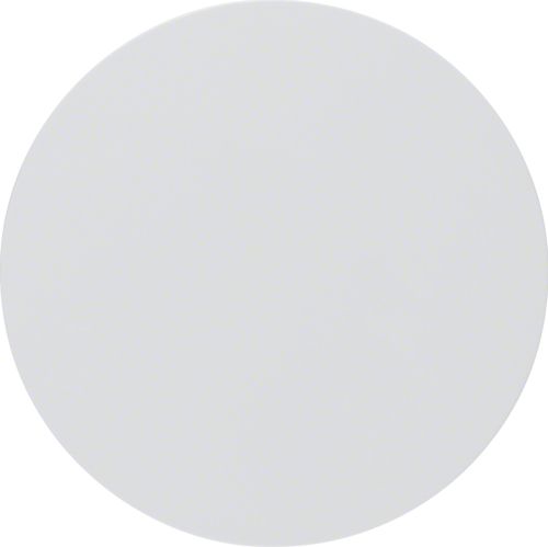 Berker Klawisz do łącznika R.1/R.3 biały (16202089)