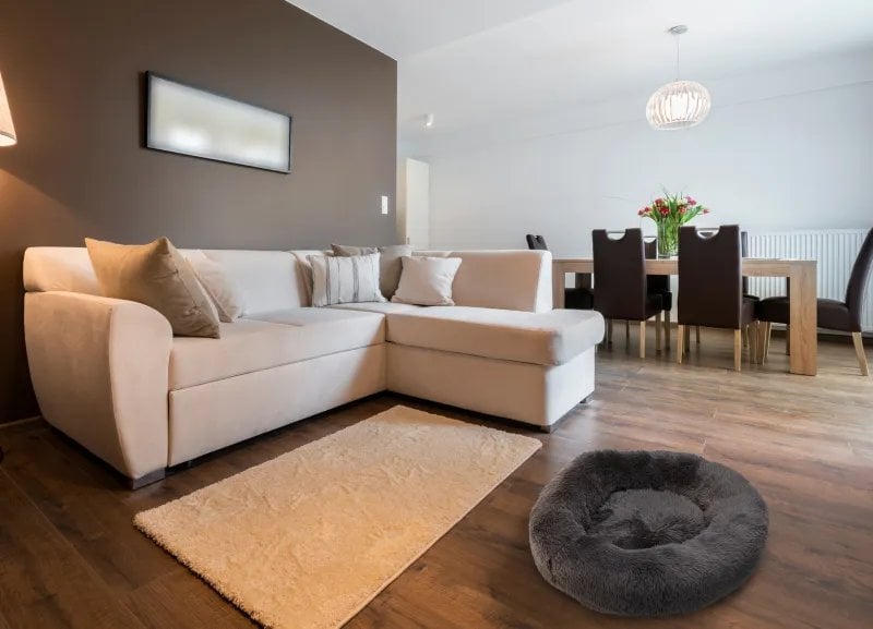 Gravity Paw Love - Hundepude langhåret (80 cm) - Mørk grå