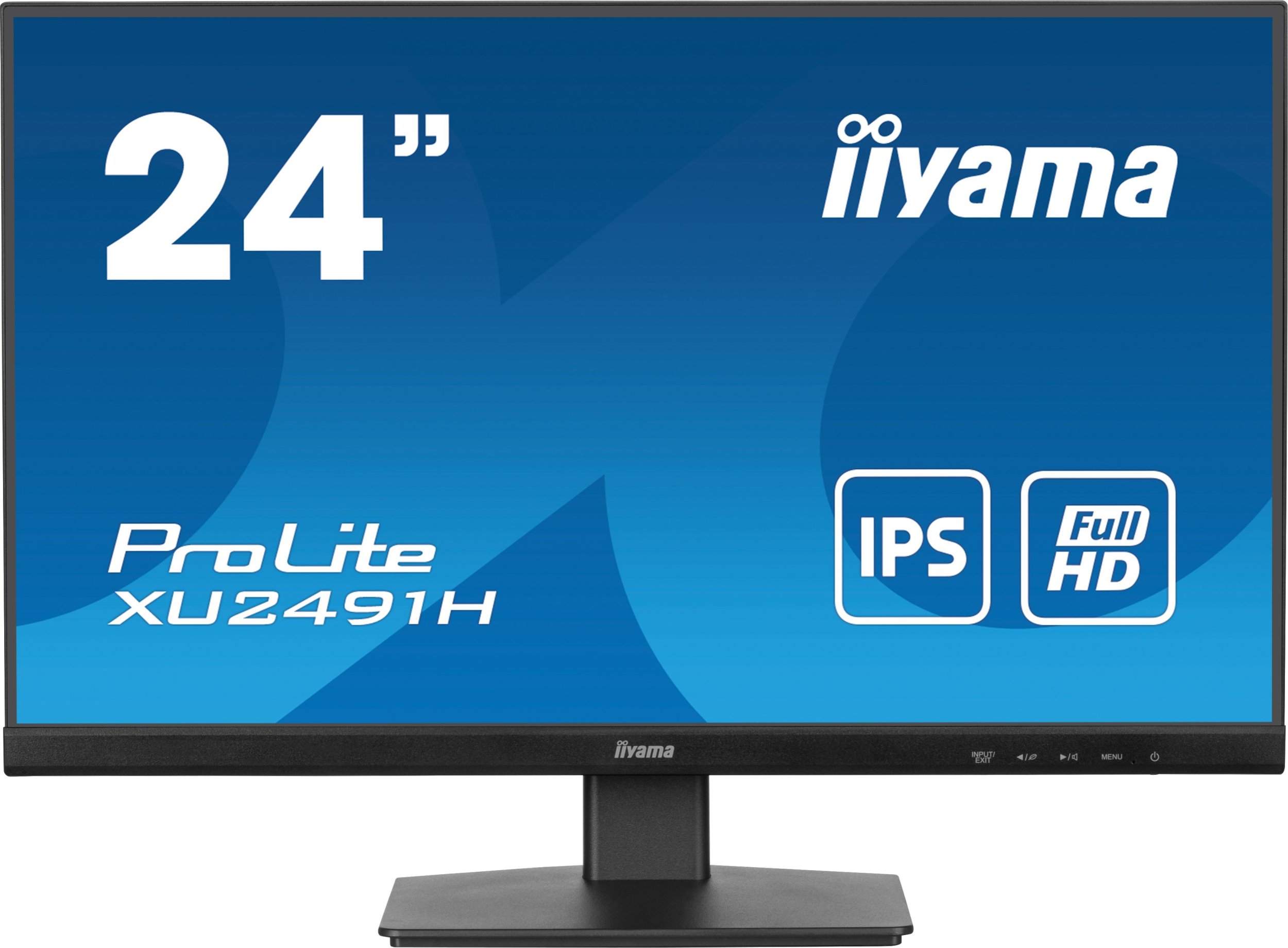 Monitor iiyama ProLite XU2491H-B1