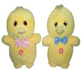 Kaczka z głosem 24cm MIX