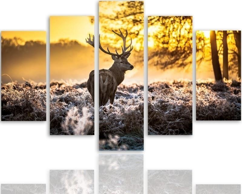 Feeby Obraz 5 częściowy na płótnie, Jelenie o zachodzie słońca - 150x100
