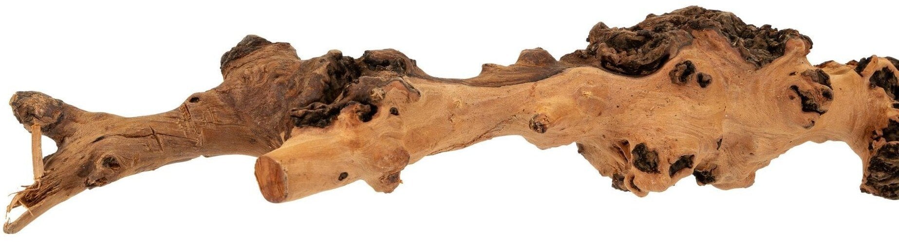 Terra Natura Drewno Sava, 20-70 cm