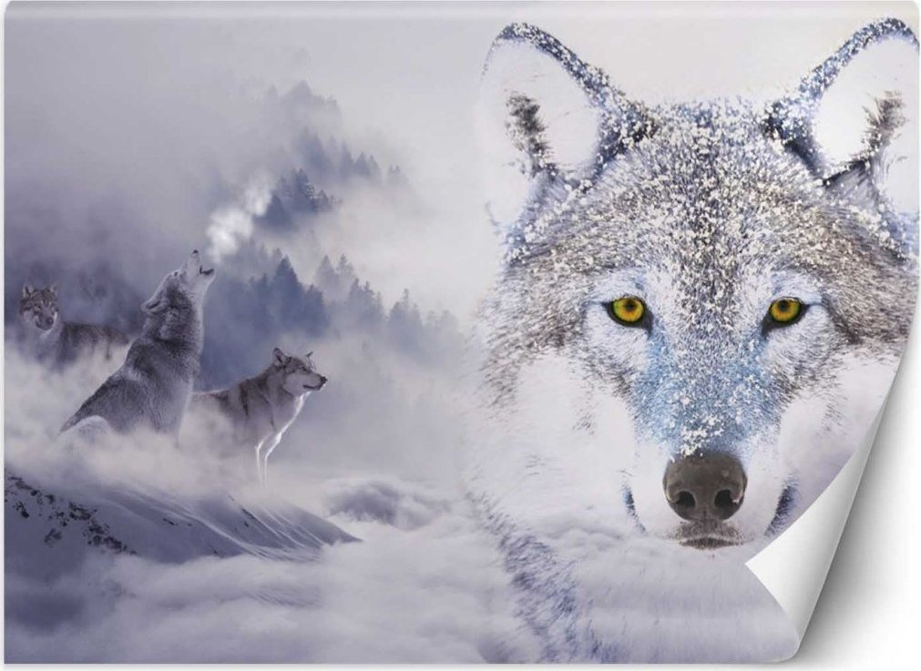 Feeby Fototapeta, Wilki zima las we mgle - 350x245