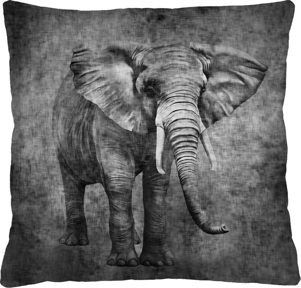 Bertoni-arco Poduszka - KONGO 40x40 cm