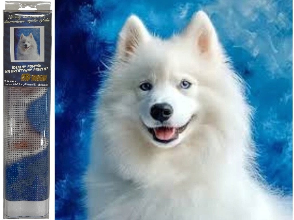 *****Diamentowa mozaika pies bi..2003054 30546