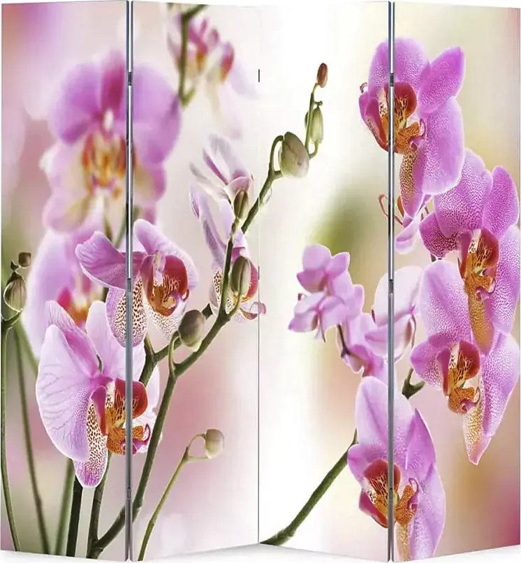 Elior Rokładany parawan z nadrukiem kwiatowym - Defri 3X 160 x 170 cm
