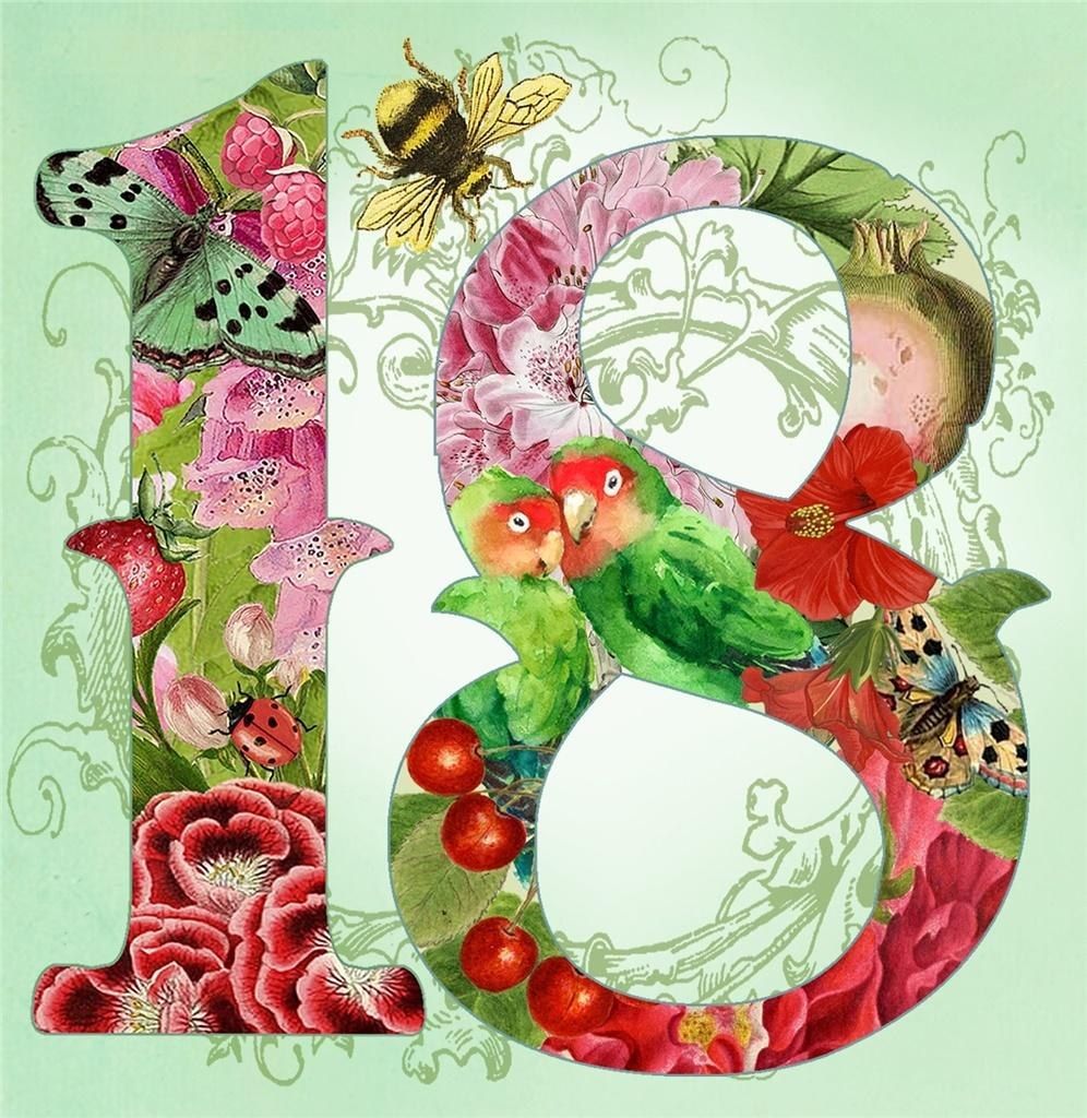 Madame Treacle Karnet kwadrat z kopertą Urodziny 18