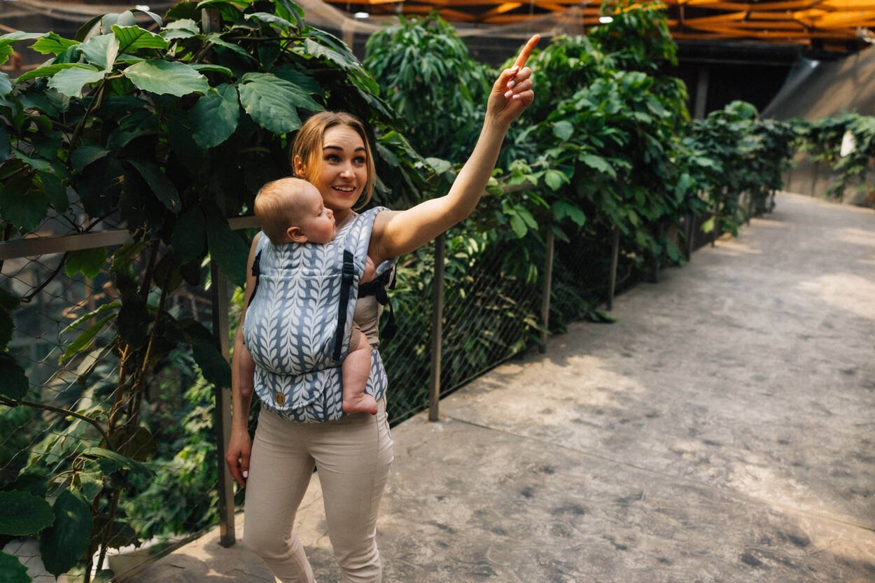 LennyLamb Nosidło LennyLamb LennyLight - Catkin Willow Regulowane