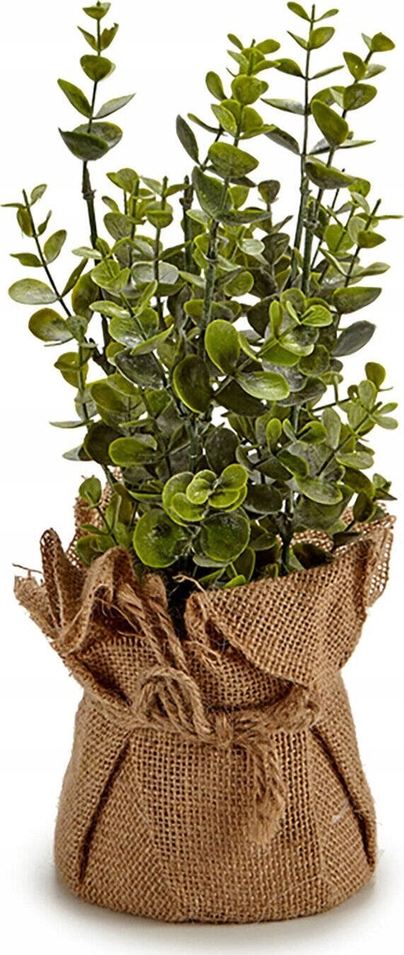 Ibergarden Sztuczne zioła w doniczce do kuchni, 17,7 cm