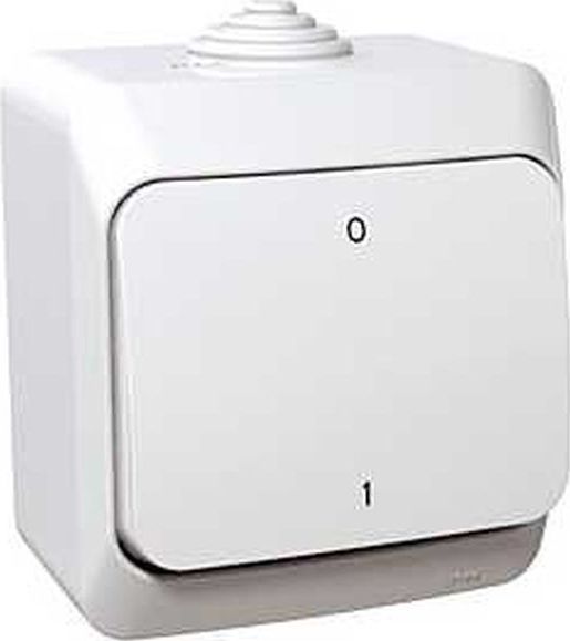 Schneider Electric Cedar Plus Łącznik dwubiegunowy natynkowy 16AX IP44 biały WDE000520