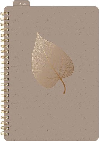 MFP paper kołozeszyt z gumką A5 w linie 80k/80g brązowy 7501615