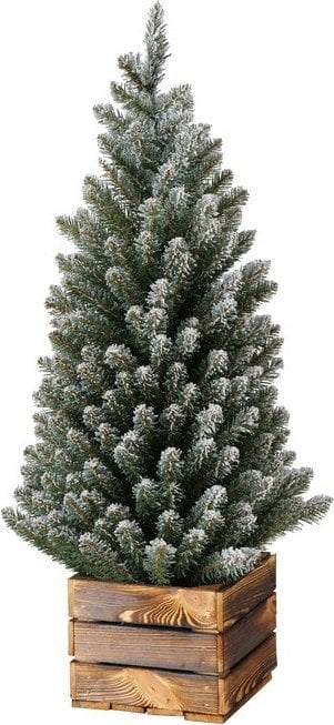 Dekoracja świąteczna Kalėdinė dekoracija medelis Kajus