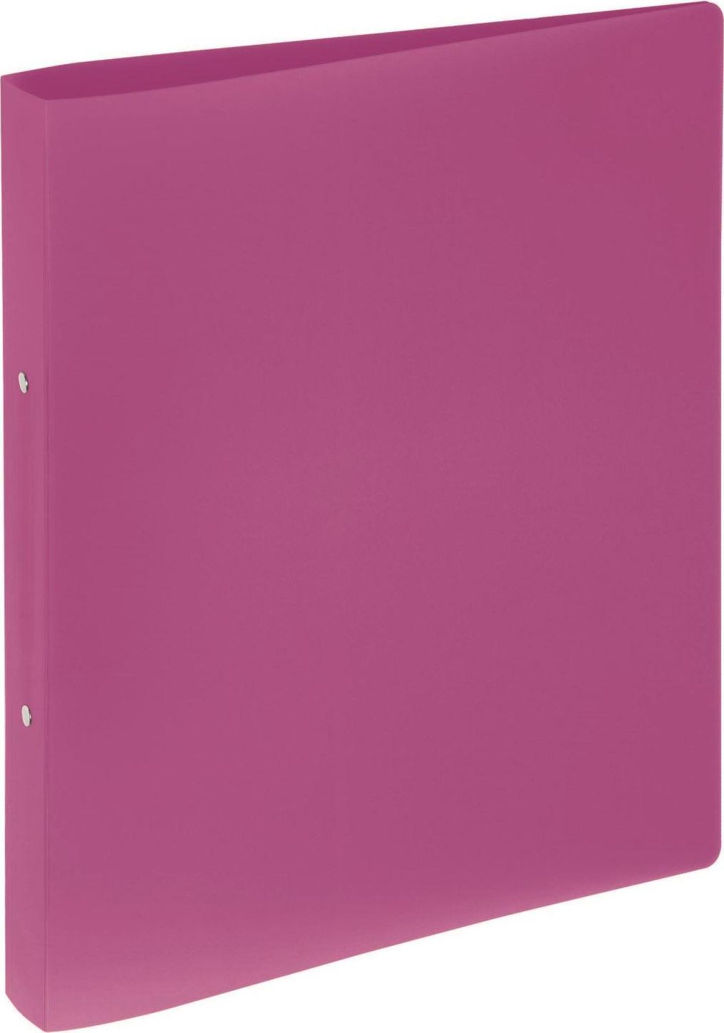 Segregator Pagna 2-ringowy A4 25mm różowy (20900-34)