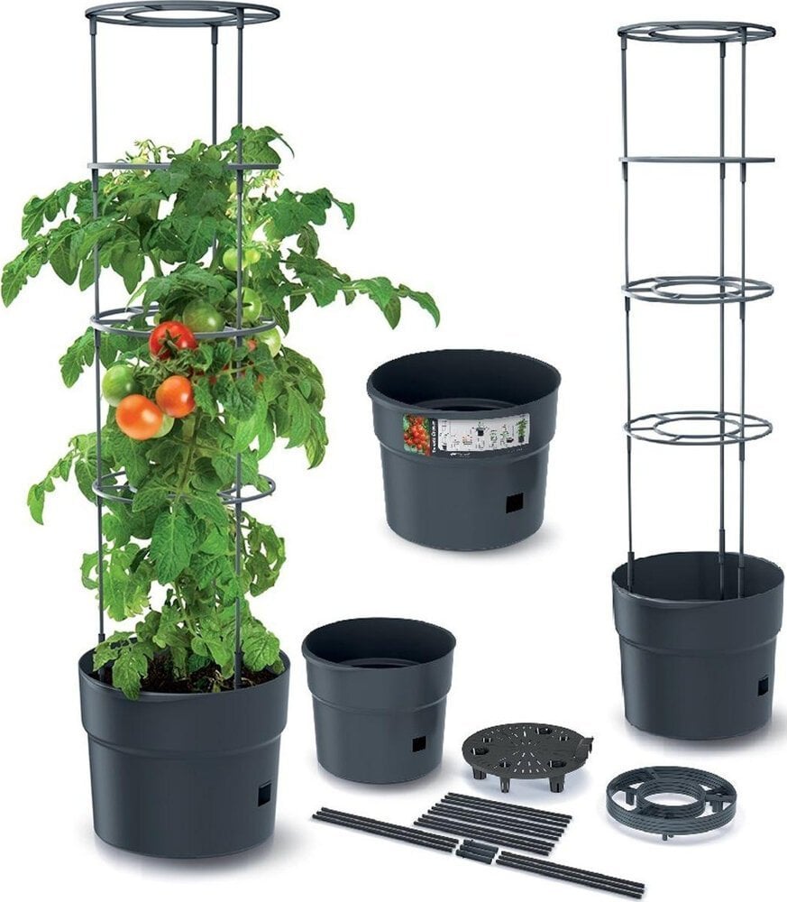 Prosperplast DONICZKA DO SADZENIA POMIDORÓW Z DRABINKĄ POJEMNOŚĆ 18L