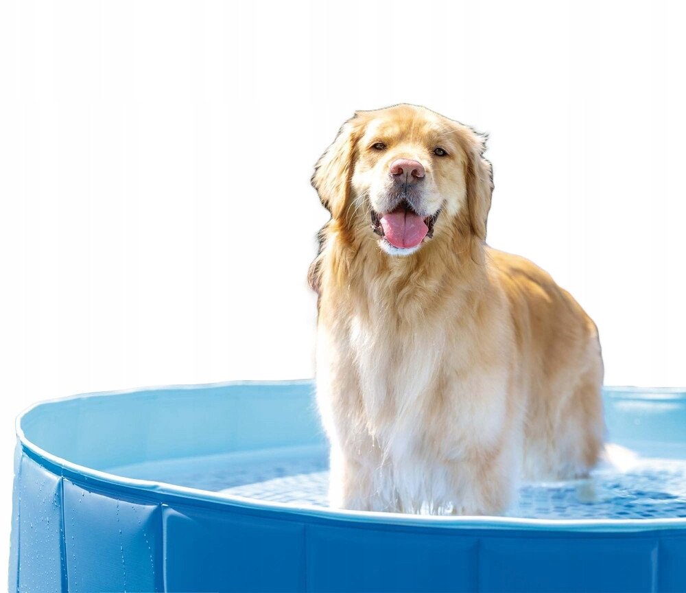 POOL FOLDABLE FOR ANIMALS 48400NP 492L