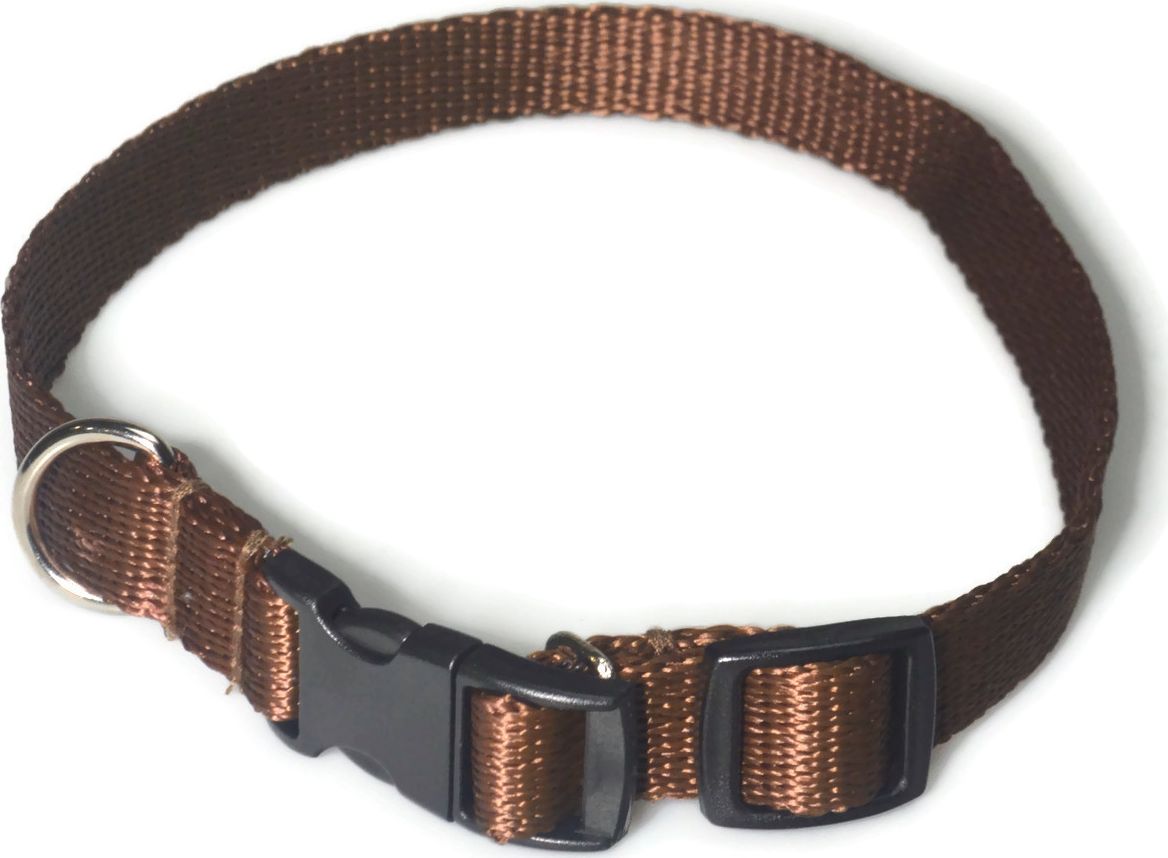 Alizoo Obroża dla średniego psa 16mm/24-42cm - ALIZOO