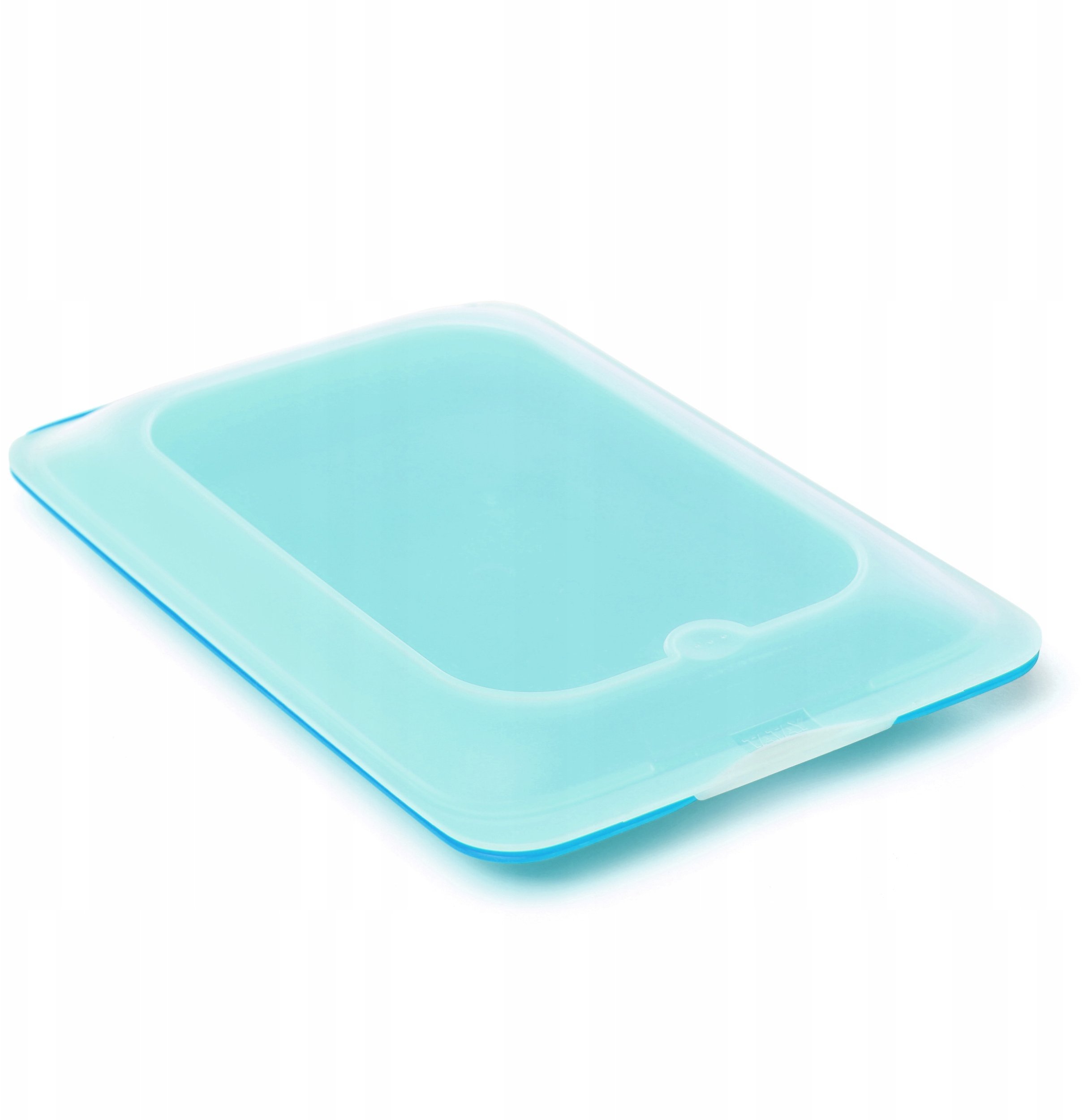 Partikas uzglabasanas trauks auksti grieztiem produktiem Fresh 17x25 2x3 2cm zils 8411801223758