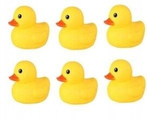 Kaczka do kąpieli 6-pack 508-221A 10271