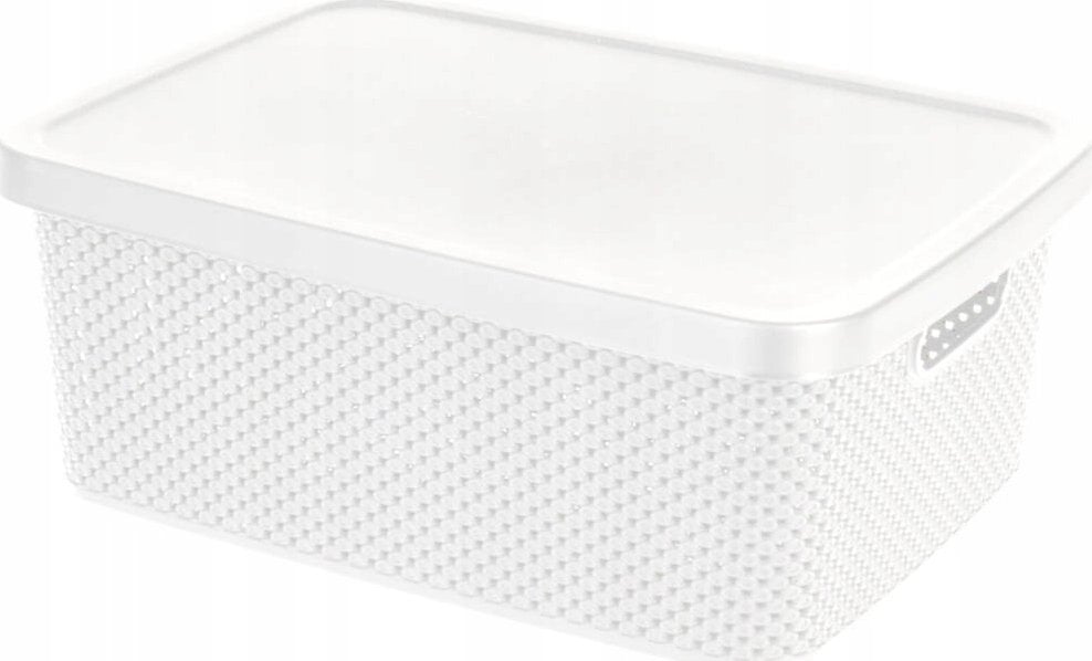 Storage Solutions Pojemnik plastikowy z pokrywą zamykany, 13 l