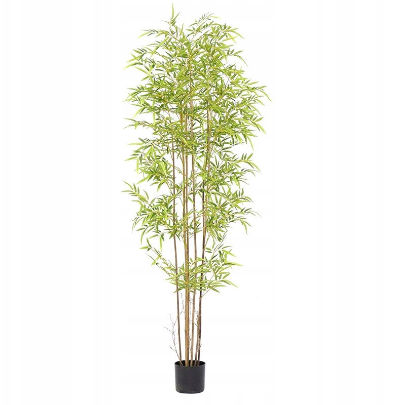 SZTUCZNA Roślina BAMBUS XXL W DONICZCE REALISTYCZNY 180cm do DOMU BIURA
