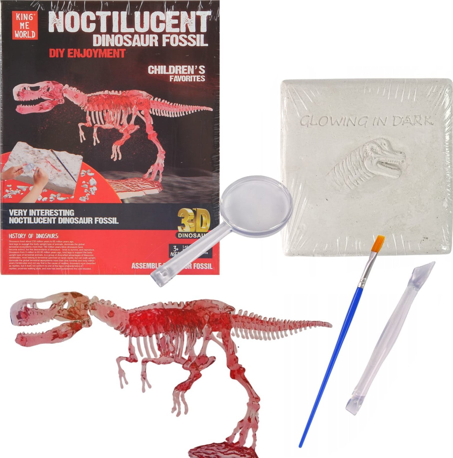 Trifox WYKOPALISKA SZKIELET DINOZAURA FOSFORYZU