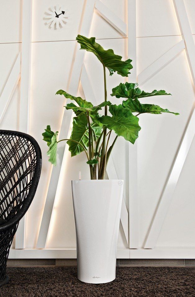 Lechuza Vazonas Delta 40, įv. spalvų