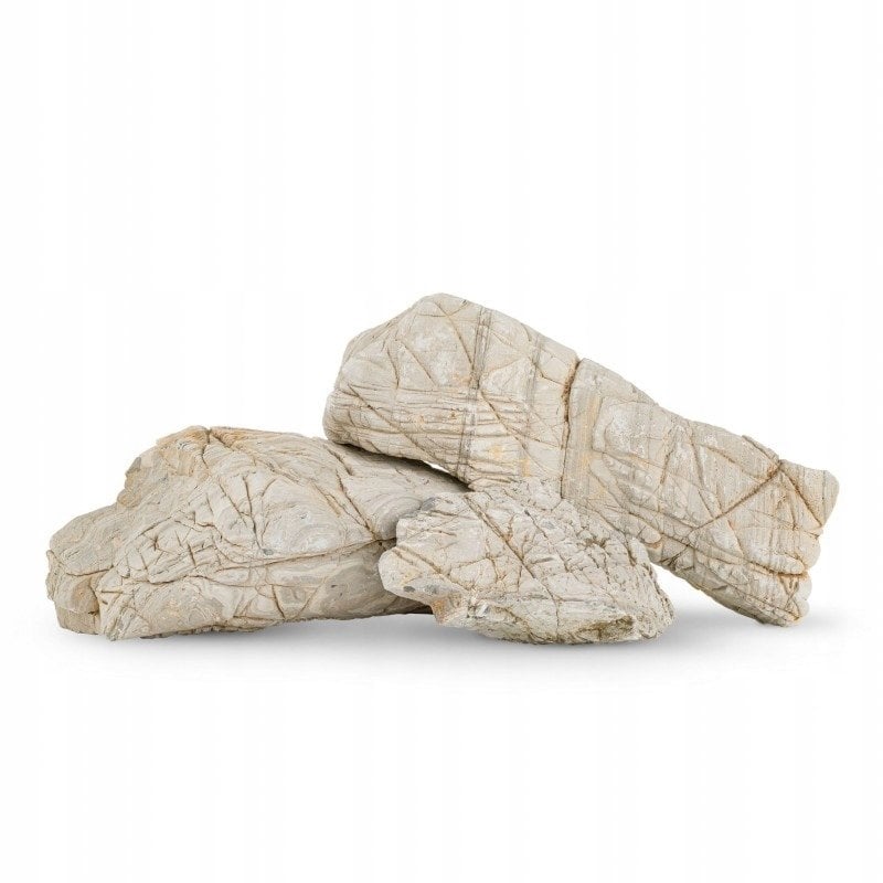 Skała skóra słoniowa / do akwarium / terrarium 10-30 cm