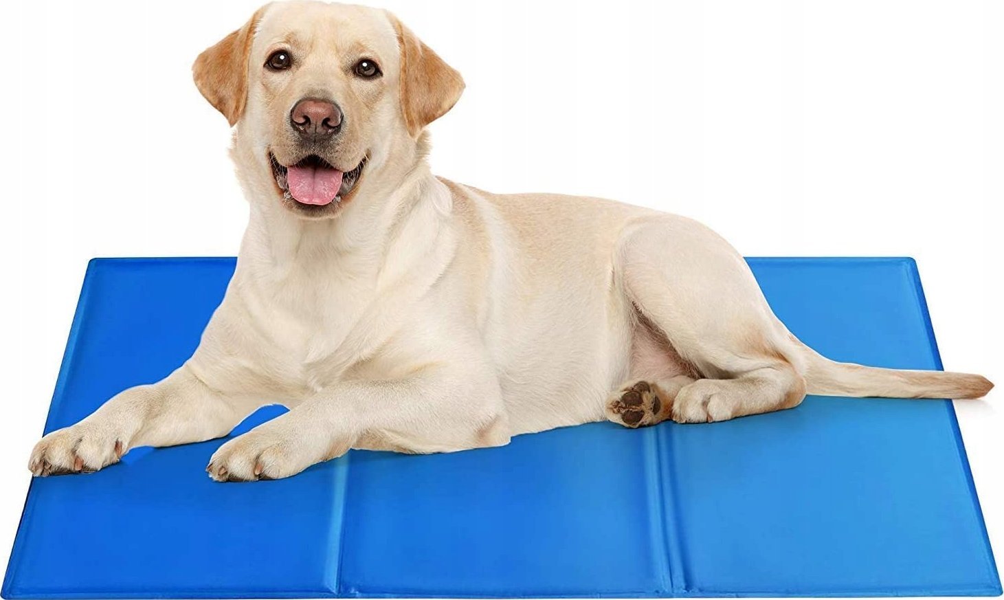 ER4 DUŻA MATA CHŁODZĄCA DLA PSA KOTA LEGOWISKO 90x50 cm