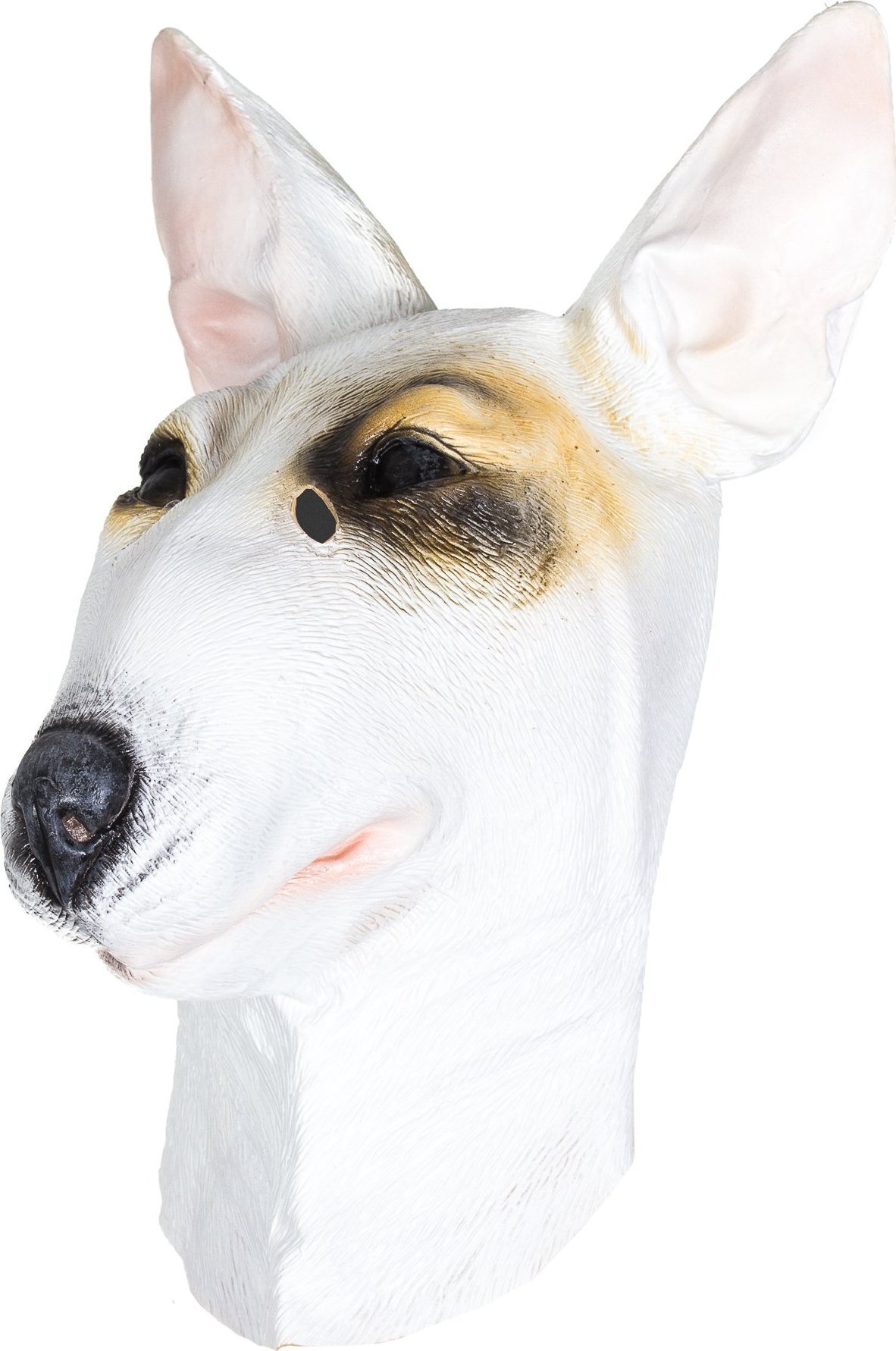Korbi Profesjo.lateksowa maska PITBULL głowa pitbulla