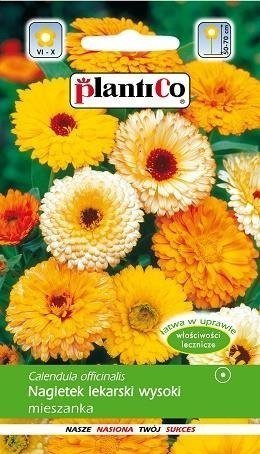 Polan PLATINET NASIONA NAGIETEK WYSOKI LEK. CALENDULA OFFICINALIS SEEDS 3 G