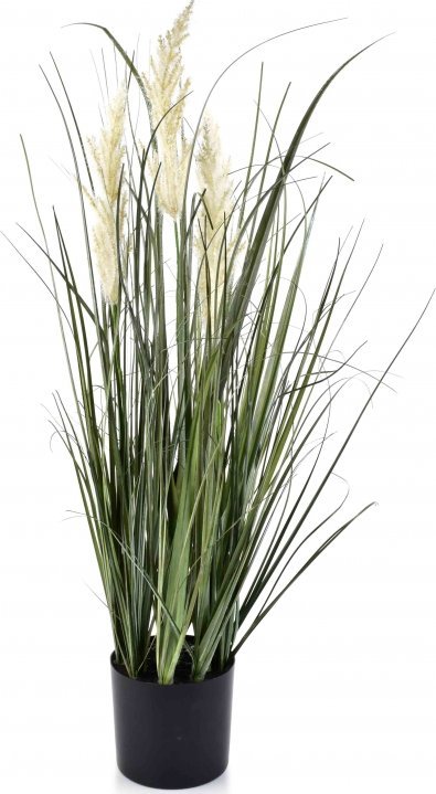 Mondex Kwiat Sztuczny Trawa W Doniczce H75cm