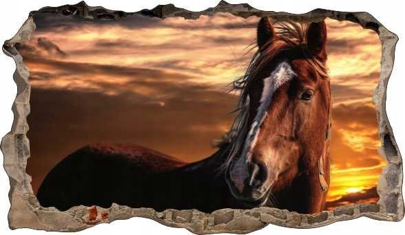 naSciane Naklejka ścienna 3D Koń Kotek Motylki Animals