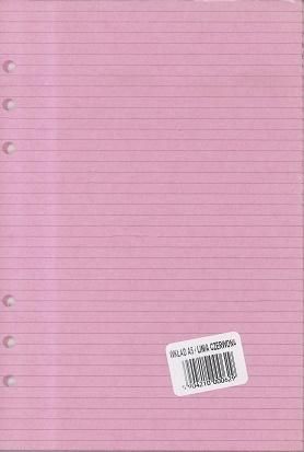 Antra Wkład do organizera A5 Linia czerwona (270055)