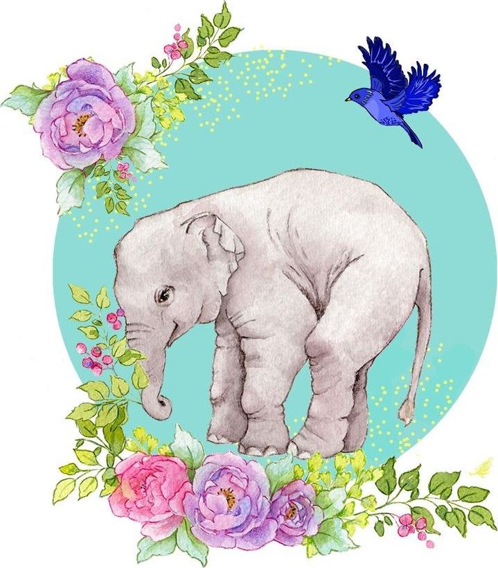 Clear Creation Karnet Swarovski kwadrat CL2004 Słoń